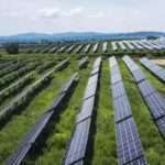 solar-plants